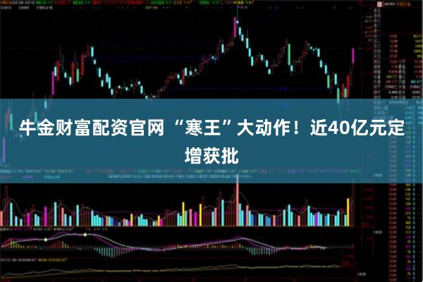 牛金财富配资官网 “寒王”大动作！近40亿元定增获批