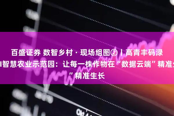 百盛证券 数智乡村 · 现场组图②丨高青丰码渌鑫AI智慧农业示范园：让每一株作物在“数据云端”精准生长