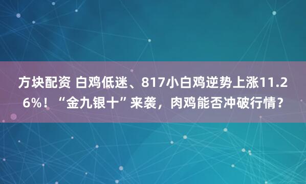 方块配资 白鸡低迷、817小白鸡逆势上涨11.26%！“金九银十”来袭，肉鸡能否冲破行情？