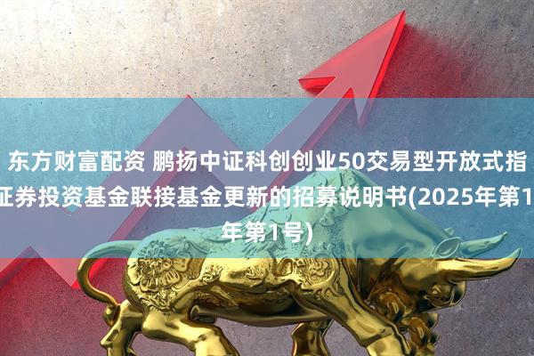 东方财富配资 鹏扬中证科创创业50交易型开放式指数证券投资基金联接基金更新的招募说明书(2025年第1号)